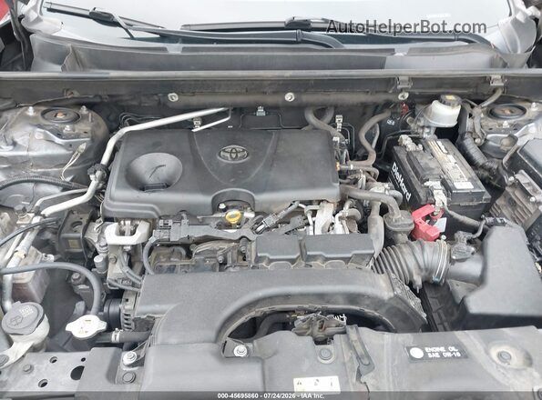 JTMH1RFV9LD054675 2020 TOYOTA RAV4 Gray უკანა ხედი