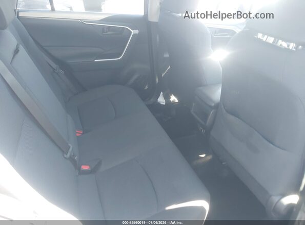 JTMH1RFVXKJ013309 2019 TOYOTA RAV4 Gray VIN კოდის სტიკერის ხედი