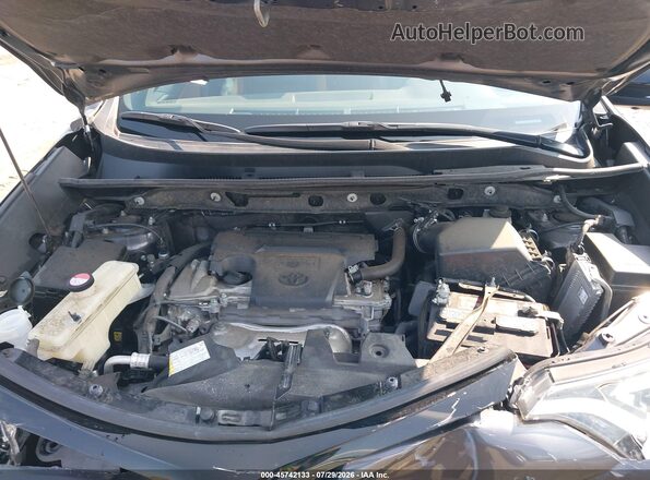 JTMJFREV0GJ074101 2016 TOYOTA RAV4 Gray Հետևի տեսք