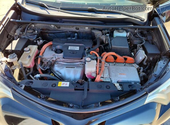 JTMJJREV4HD077016 2017 TOYOTA RAV4 Black Вид задньої частини салону