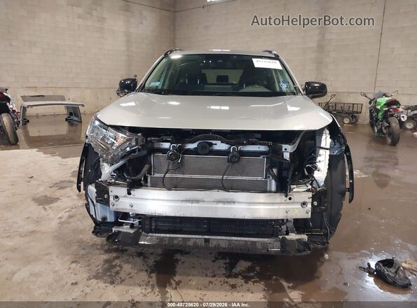 JTMLWRFV1KD030946 2019 TOYOTA RAV4 HYBRID Серебряный Вид задней части салона