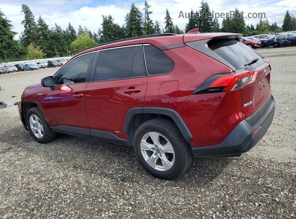 JTMLWRFV2MD559535 2021 TOYOTA RAV4 Красный Задняя левая четверть
