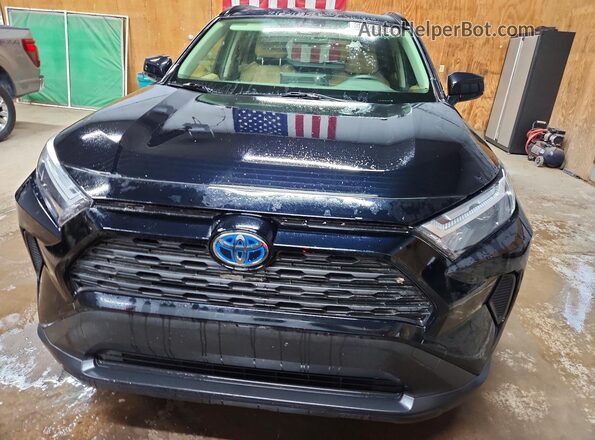 JTMLWRFV4PD187622 2023 TOYOTA RAV4 Black Widok z przodu