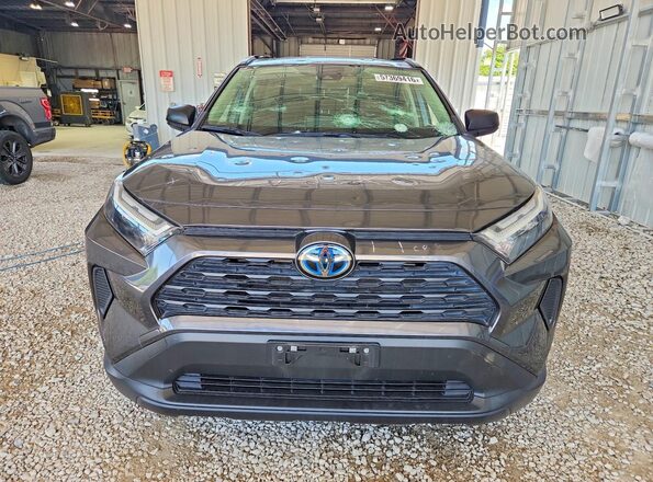 JTMLWRFV9PD171433 2023 TOYOTA RAV4 Gray Вид спереду