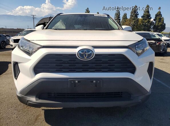 JTMM6RFV5MD012134 2021 TOYOTA RAV4 Белый Вид спереди