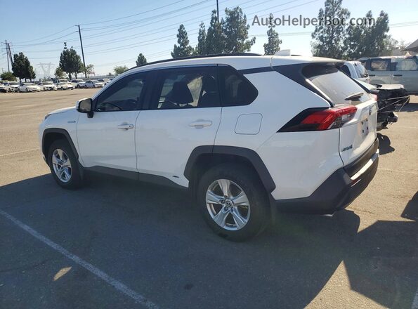 JTMM6RFV5MD012134 2021 TOYOTA RAV4 Белый Задняя левая четверть