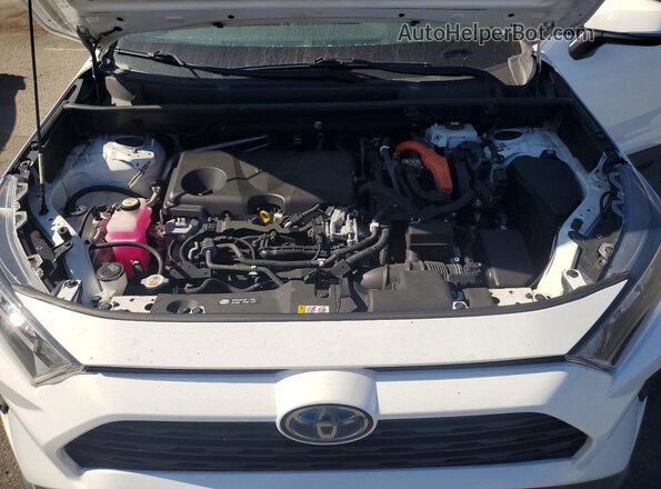 JTMM6RFV5MD012134 2021 TOYOTA RAV4 Белый Вид задней части салона