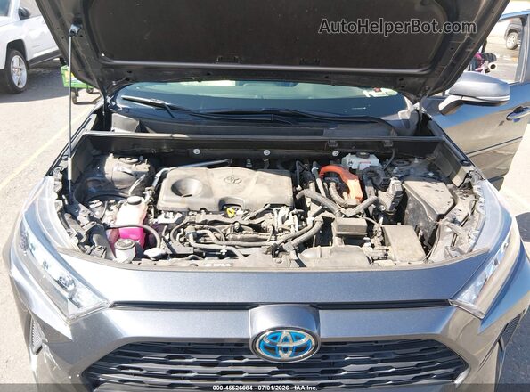JTMM6RFV8LD003927 2020 TOYOTA RAV4 HYBRID Gray უკანა ხედი