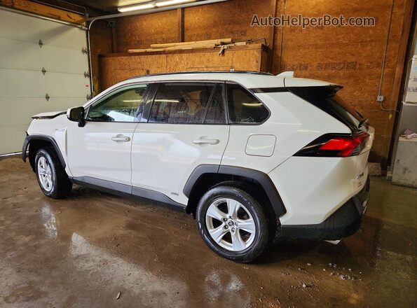 JTMMWRFV2KD010032 2019 TOYOTA RAV4 White Tył lewy