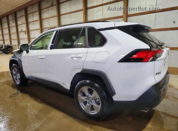 JTMMWRFV9PD205469 2023 TOYOTA RAV4 Белый Задняя левая четверть