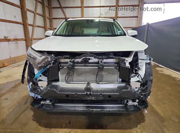 JTMMWRFV9PD205469 2023 TOYOTA RAV4 Белый Вид спереди