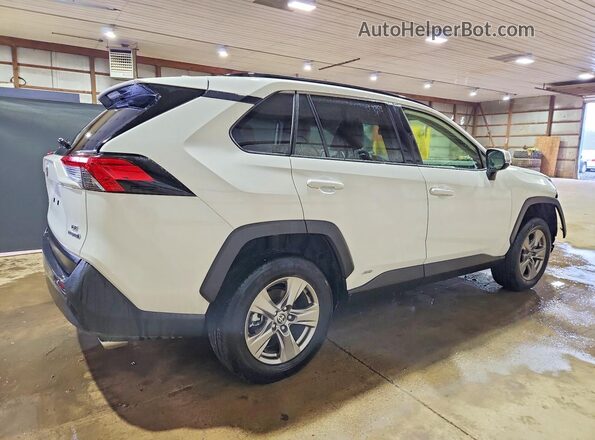 JTMMWRFV9PD205469 2023 TOYOTA RAV4 Белый Задняя правая четверть