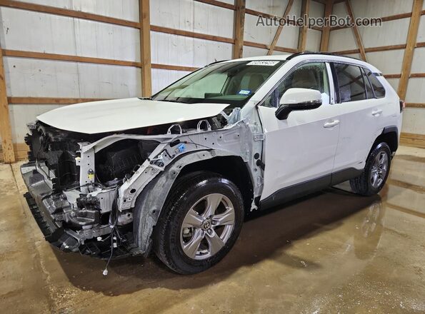 JTMMWRFV9PD205469 2023 TOYOTA RAV4 Белый 