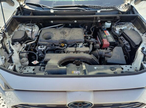 JTMN1RFV4KD519168 2019 TOYOTA RAV4 White Вид задньої частини салону