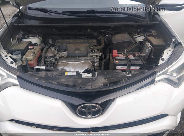 JTMNFREV0GJ083141 2016 TOYOTA RAV4 White Widok z tyłu