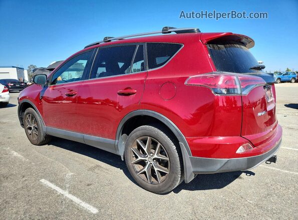 JTMNFREV7JD127688 2018 TOYOTA RAV4 Burgundy Trasero izquierdo