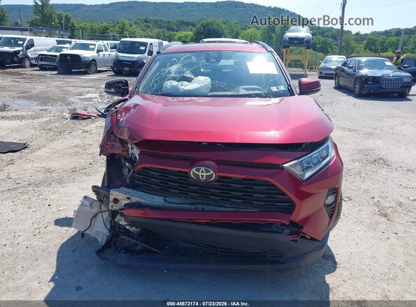 JTMP1RFV1KD027870 2019 TOYOTA RAV4 Red Vista interior trasera