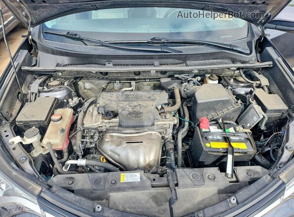 JTMRFREV4GJ071012 2016 TOYOTA RAV4 Gray Widok wnętrza z tyłu