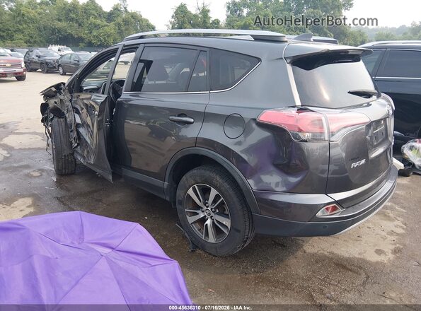 JTMRFREV5HJ700939 2017 TOYOTA RAV4 Серый Задняя левая четверть