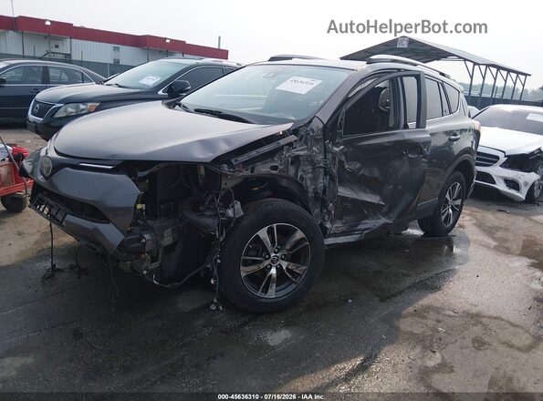 JTMRFREV5HJ700939 2017 TOYOTA RAV4 Серый Передняя левая четверть