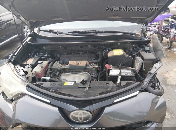 JTMRFREV5HJ700939 2017 TOYOTA RAV4 Серый Вид сзади