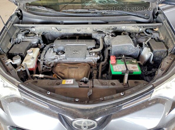JTMRFREV6HD207575 2017 TOYOTA RAV4 Charcoal Սալոնի հետևի տեսք