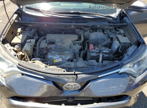 JTMRFREV7HD215393 2017 TOYOTA RAV4 Серый Вид задней части салона