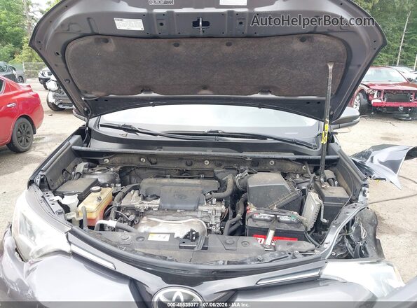 JTMRFREV7HJ701879 2017 TOYOTA RAV4 Gray უკანა ხედი