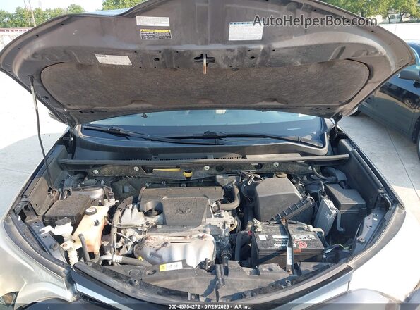 JTMRFREV7HJ711117 2017 TOYOTA RAV4 Gray Հետևի տեսք