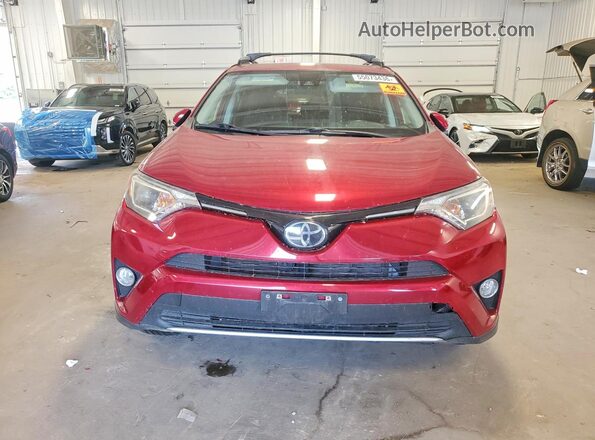 JTMRFREV7JD256807 2018 TOYOTA RAV4 Красный Вид спереди