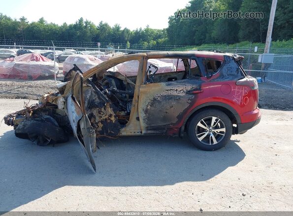 JTMRFREV9HJ155828 2017 TOYOTA RAV4 Red Սալոնի հետևի տեսք