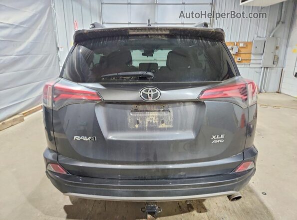 JTMRFREVXHD202489 2017 TOYOTA RAV4 Blue Widok z tyłu