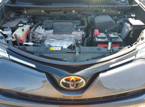 JTMRFREVXHJ713444 2017 TOYOTA RAV4 Gray Vista interior trasera