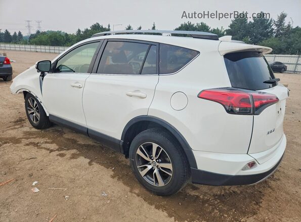 JTMRFREVXJJ234236 2018 TOYOTA RAV4 White Հետևի ձախ