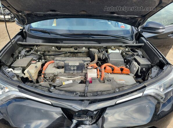 JTMRJREV0GD002847 2016 TOYOTA RAV4 Black Вид задньої частини салону