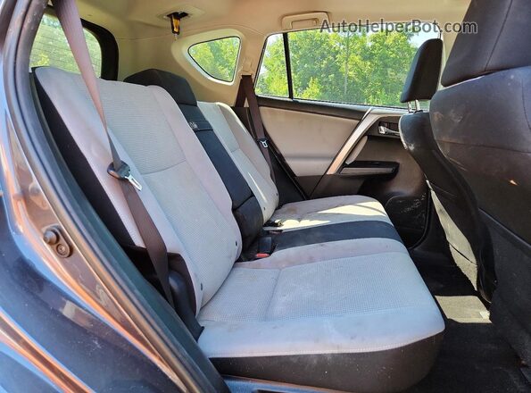 JTMRJREV0GD013637 2016 TOYOTA RAV4 Серый Вид задней части салона