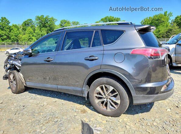 JTMRJREV0GD013637 2016 TOYOTA RAV4 Серый Задняя левая четверть