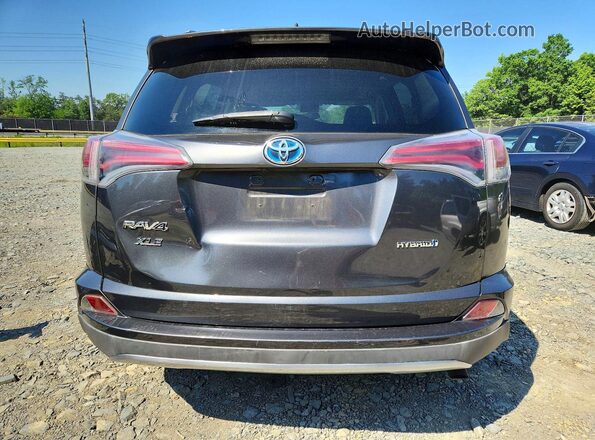JTMRJREV0GD013637 2016 TOYOTA RAV4 Серый Вид сзади