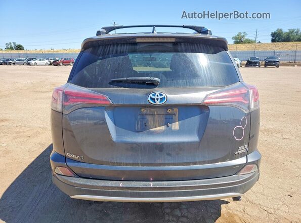 JTMRJREV1GD030544 2016 TOYOTA RAV4 Charcoal Vista trasera