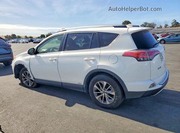 JTMRJREV1HD148496 2017 TOYOTA RAV4 White Trasero izquierdo