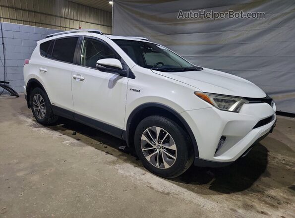 JTMRJREV2GD020895 2016 TOYOTA RAV4 White Przód prawy