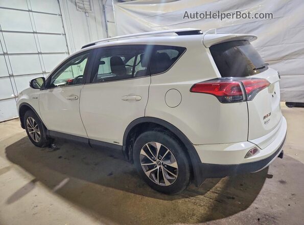 JTMRJREV2GD020895 2016 TOYOTA RAV4 White Tył lewy