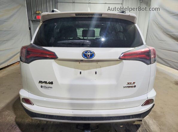 JTMRJREV2GD020895 2016 TOYOTA RAV4 White Widok z tyłu