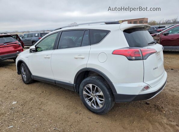 JTMRJREV3HD094473 2017 TOYOTA RAV4 White Rear left