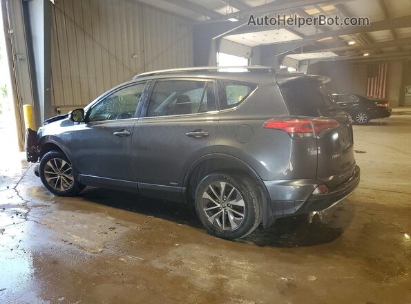 JTMRJREV4HD098662 2017 TOYOTA RAV4 Gray Trasero izquierdo