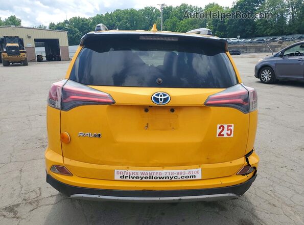 JTMRJREV5HD107353 2017 TOYOTA RAV4 Yellow უკანა ხედი