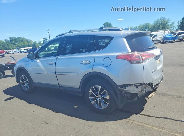 JTMRJREV6GD043824 2016 TOYOTA RAV4 Silver უკანა მარცხენა