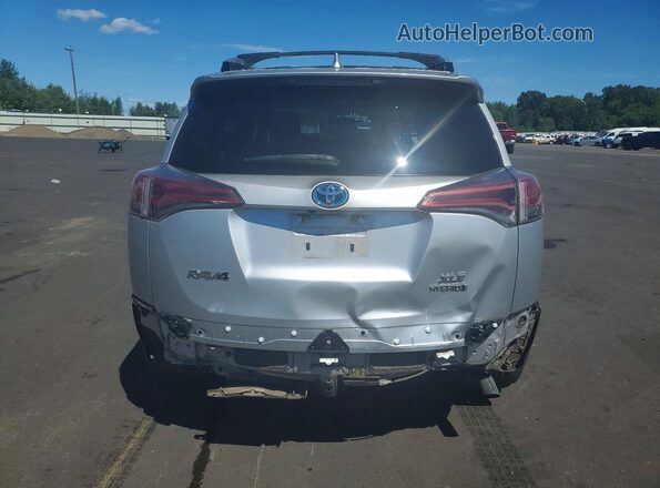JTMRJREV6GD043824 2016 TOYOTA RAV4 Silver უკანა ხედი
