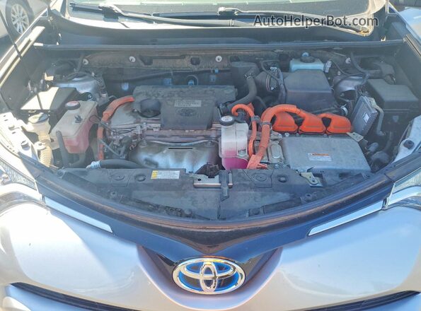 JTMRJREV6GD043824 2016 TOYOTA RAV4 Silver უკანა სალონის ხედი