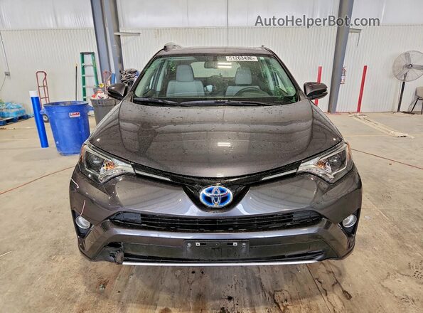 JTMRJREV8GD001641 2016 TOYOTA RAV4 Gray Widok z przodu